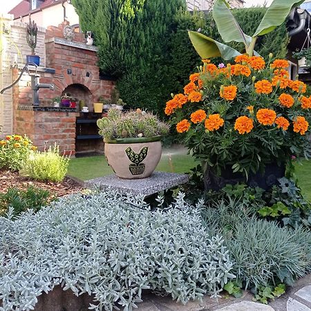 Usis_Ferienwohnung Im Harz 크베들린부르크 외부 사진