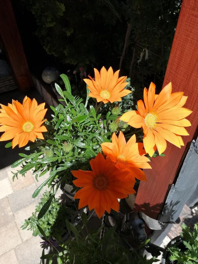 Usis_Ferienwohnung Im Harz 크베들린부르크 외부 사진