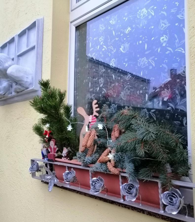 Usis_Ferienwohnung Im Harz 크베들린부르크 외부 사진