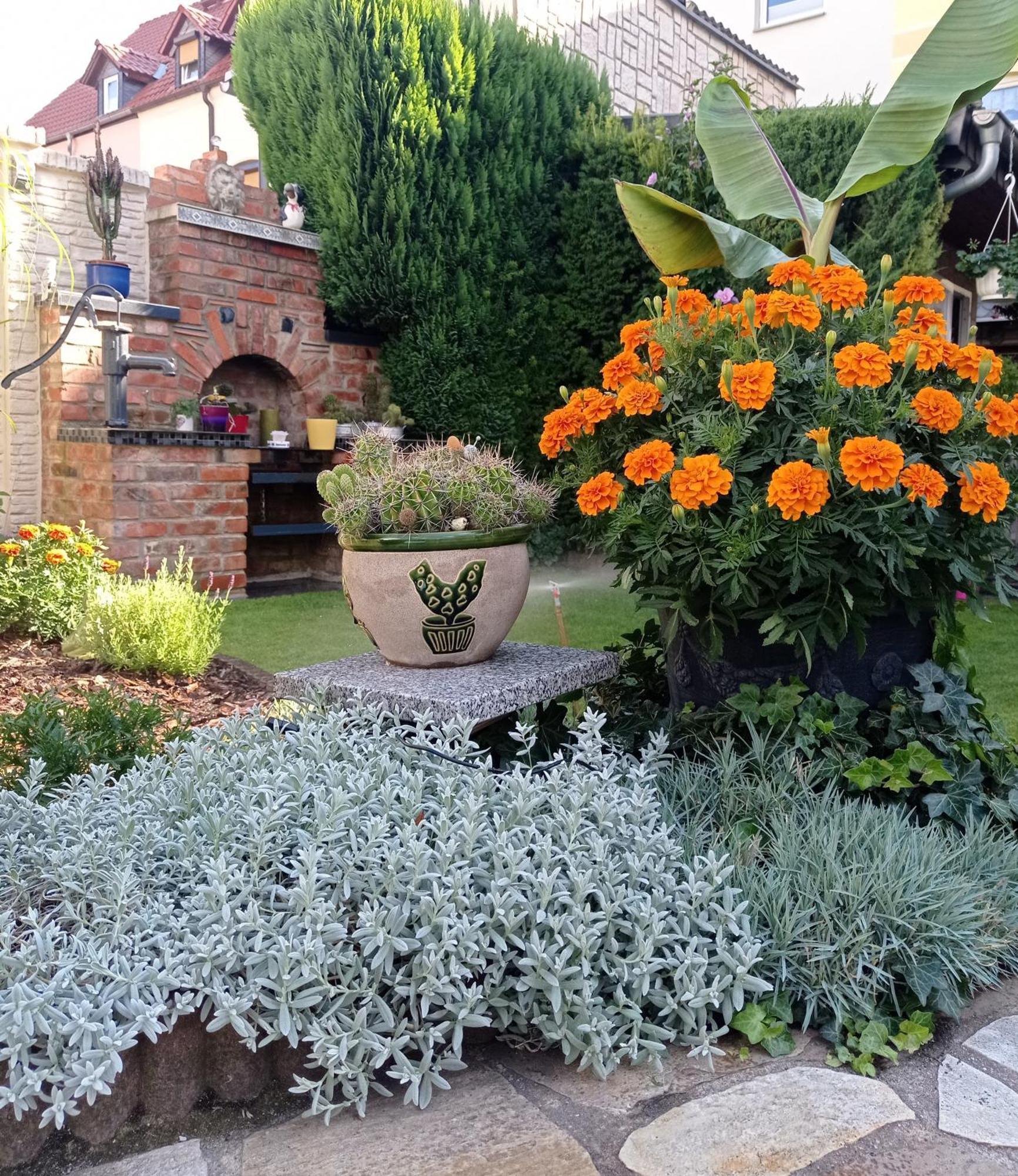 Usis_Ferienwohnung Im Harz 크베들린부르크 외부 사진